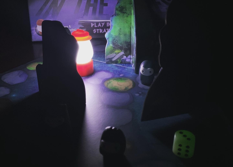 Image 1 for Shadows in the Forest